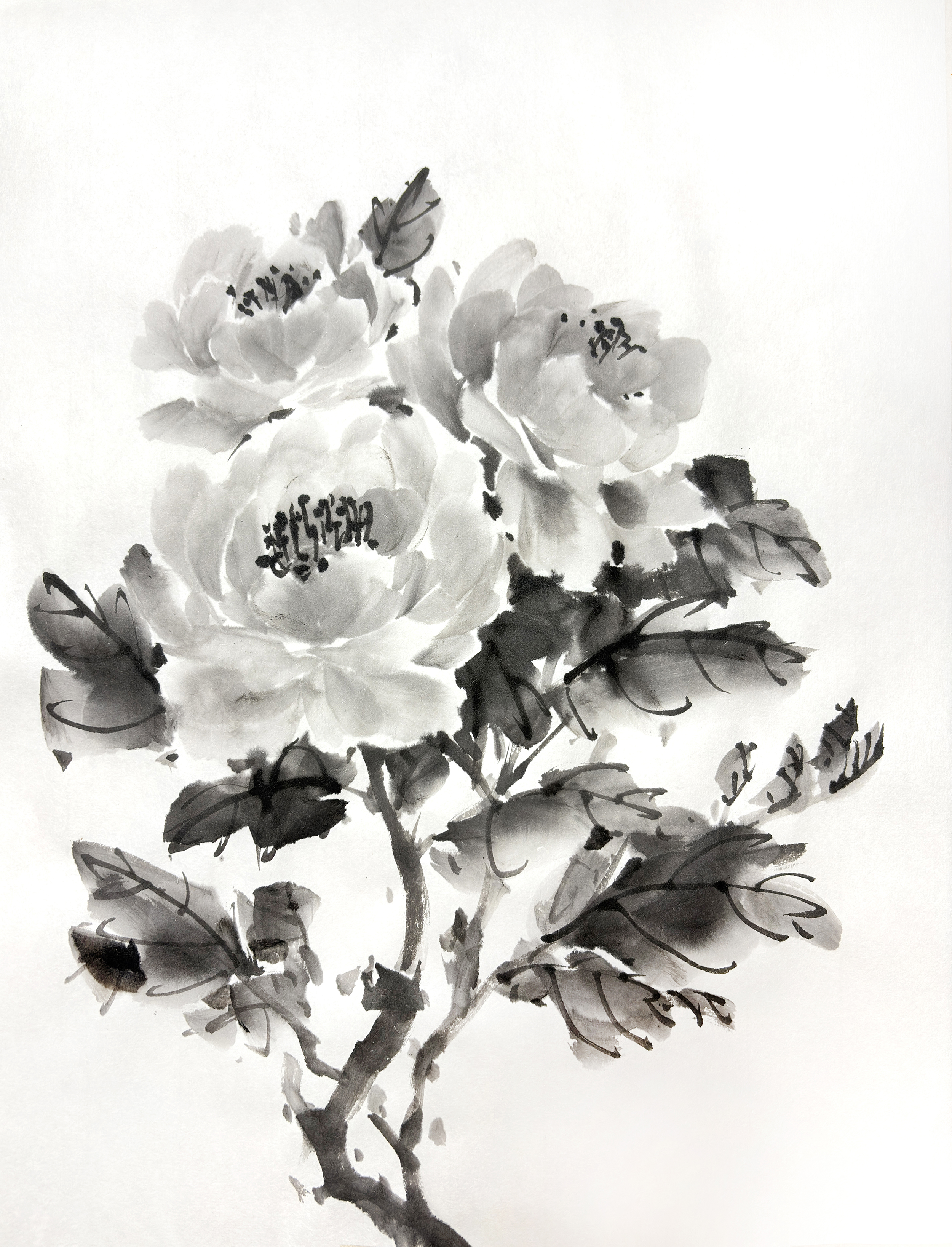 山口 なみ 作品 1